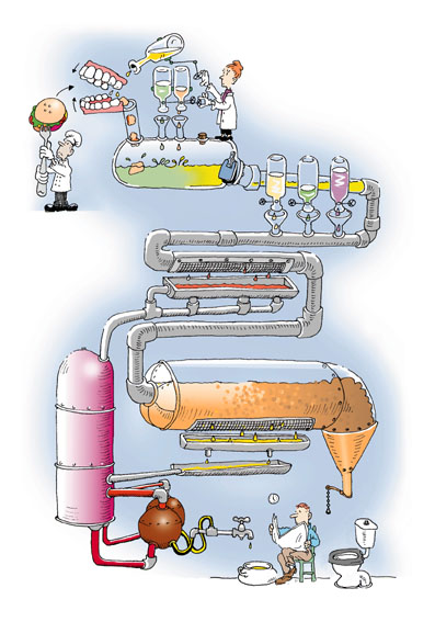 Illustration for article titled ABC of Nutrition - D, part 1